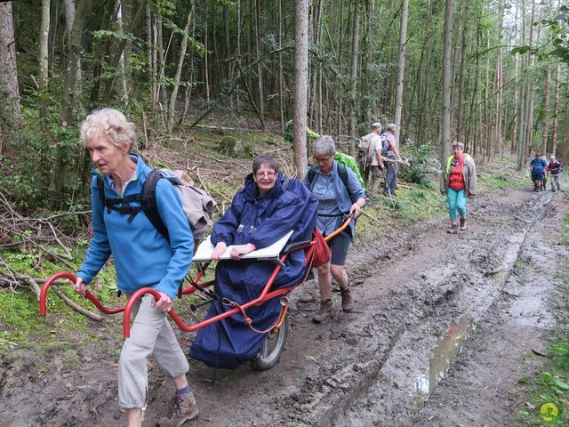 Randonnée joëlettes à Rochefort