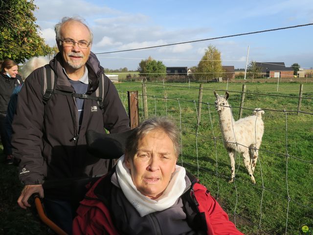 Randonnée joëlettes à Hélécine