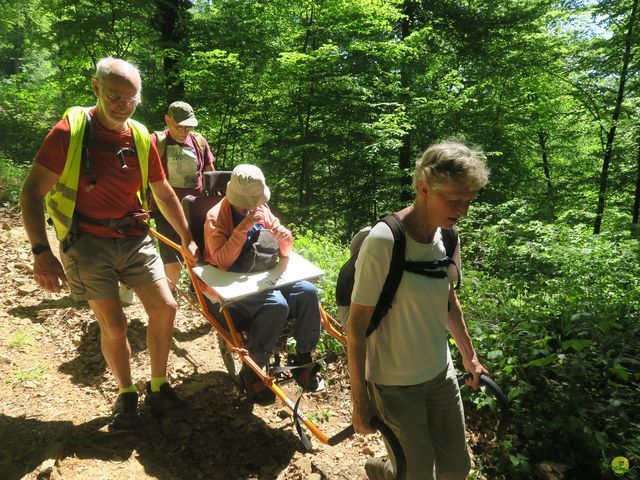 Randonnée joëlettes à Florenville