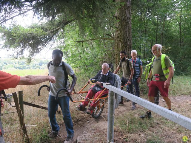 Randonnée joëlettes à Anthisnes