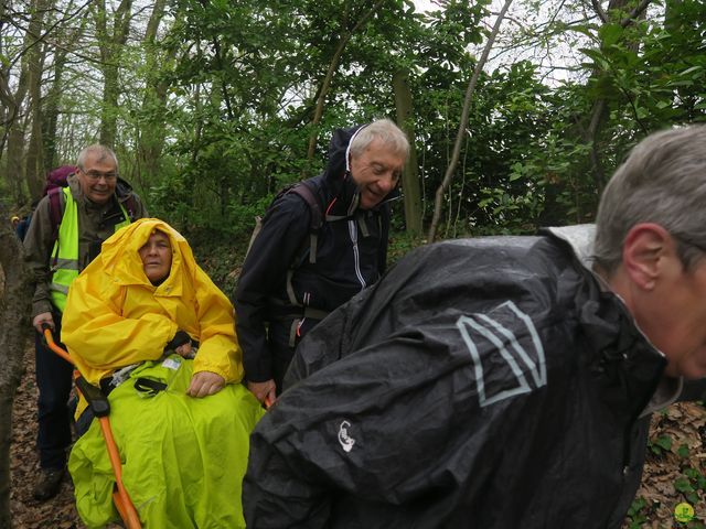 Randonnée joëlettes à Overijse