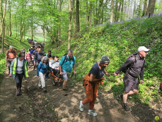 Randonnée joëlettes à Bousval