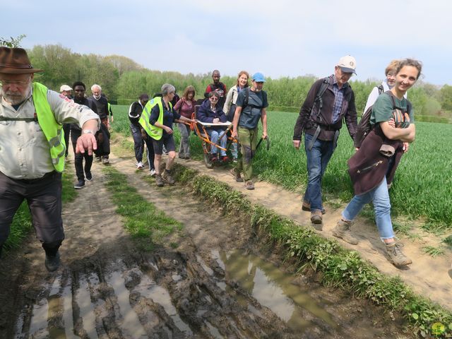 Randonnée joëlettes à Bousval