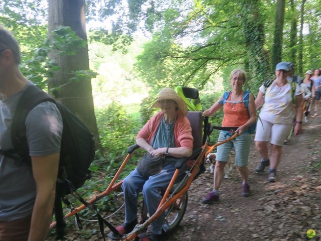 Randonnée joëlettes à Florival