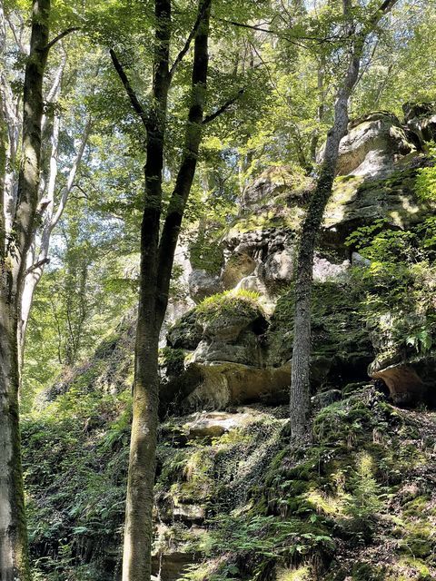 Randonnée joëlettes à Perekop