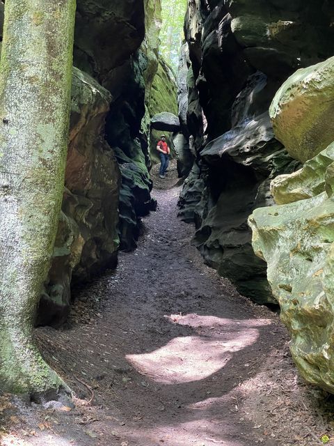 Randonnée joëlettes à Perekop