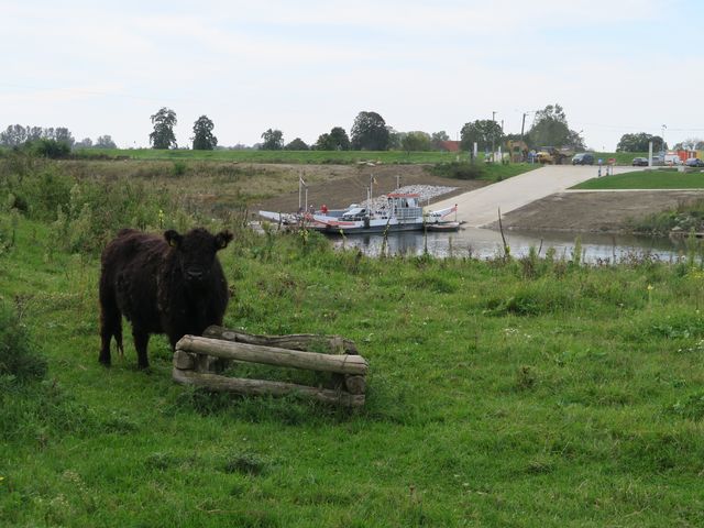 Séjour à Maasmechelen