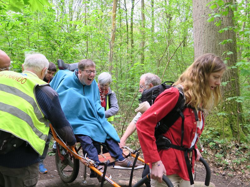 Randonnée joëlettes à Groenendaal
