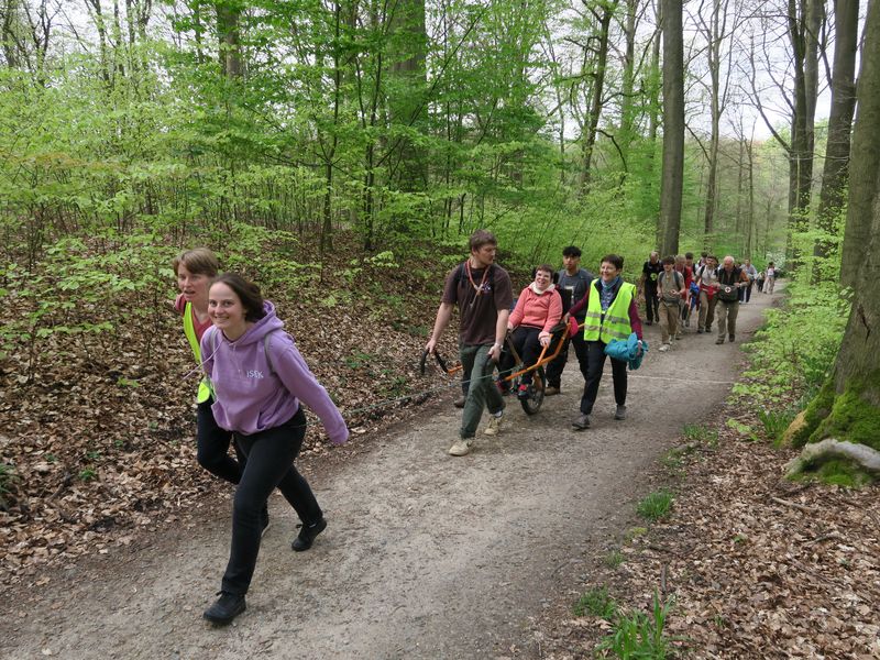 Randonnée joëlettes à Groenendaal