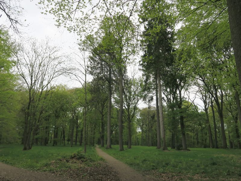 Randonnée joëlettes à Sart-Tilman