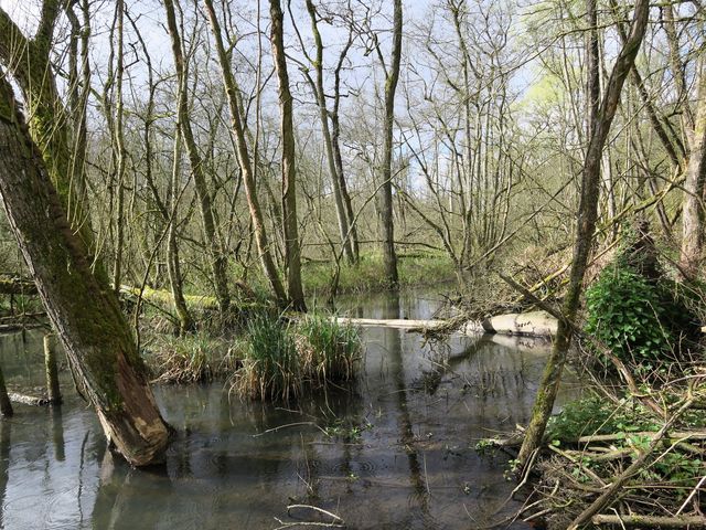 1-05-2024, Bousval, Handi-Rando