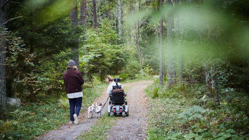 12 balades adaptées aux personnes à mobilité réduite